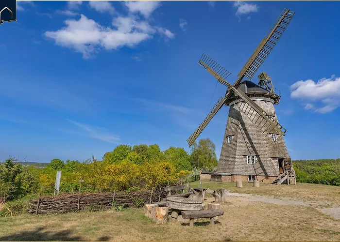 Inselnest 코세로우