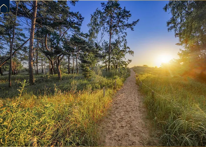 Inselnest 코세로우